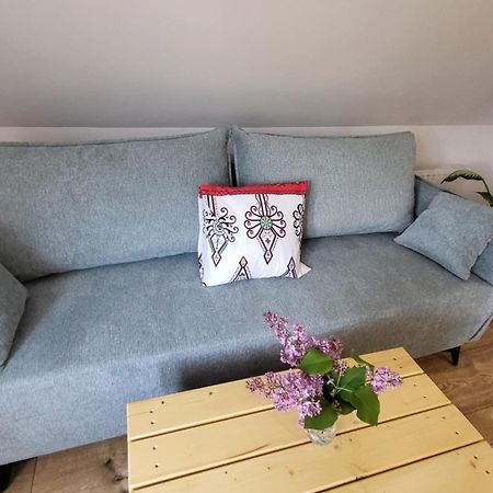 Stylove Apartamenty Kocierz Rychwaldzki Extérieur photo